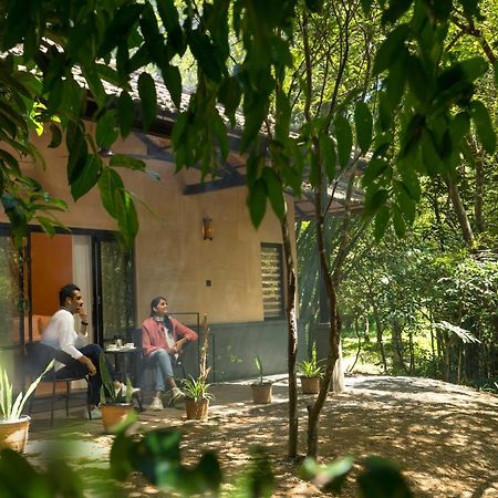 Klov Resort & Spa Wayanad Dış mekan fotoğraf